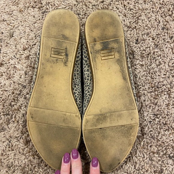 Tom Flats - Picture 5 of 5